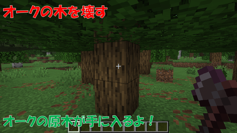 オークの原木