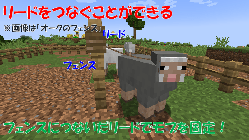 リードをつなぐ