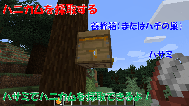 ハサミを使ってハニカムを採取する