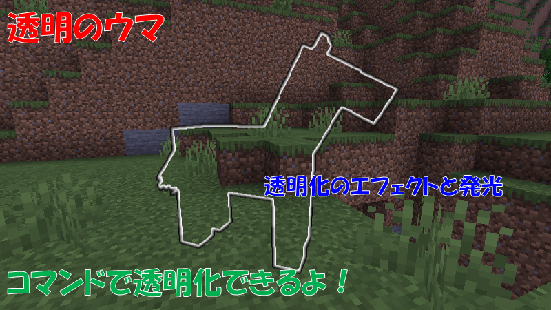 透明のウマ