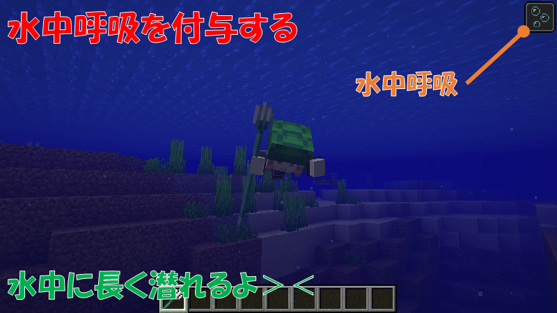 カメの甲羅を頭に装備する