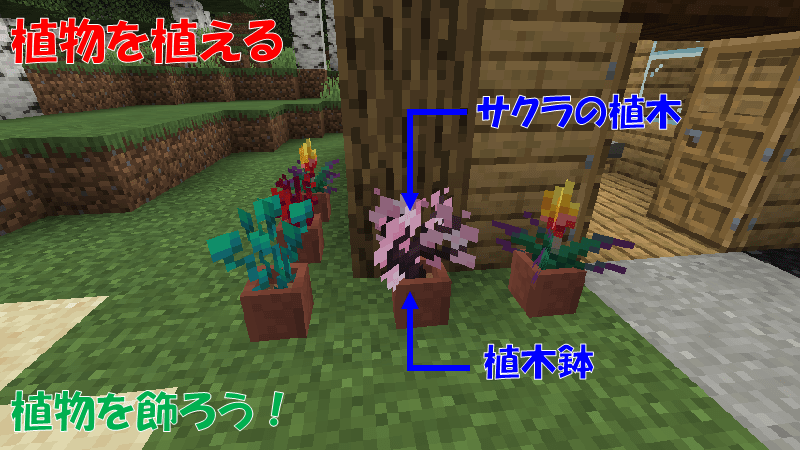 植木鉢