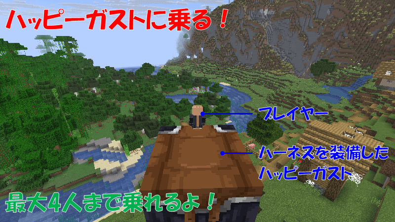 ハーネスの使い方