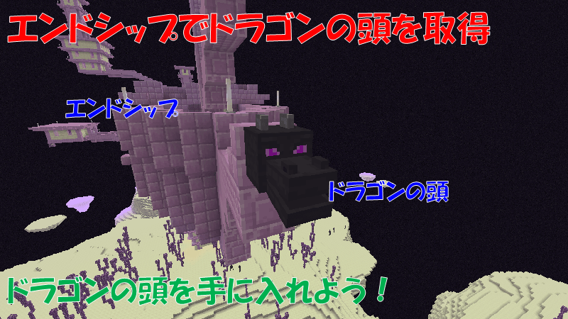 エンドシップでドラゴンの頭を入手