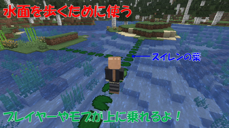 スイレンの葉で水面を歩く
