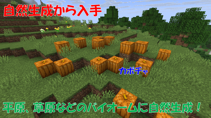自然生成からカボチャを入手