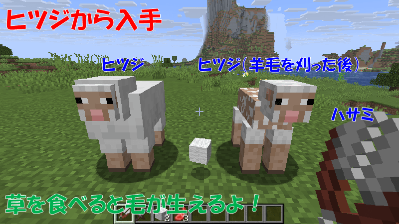 ヒツジから羊毛を入手