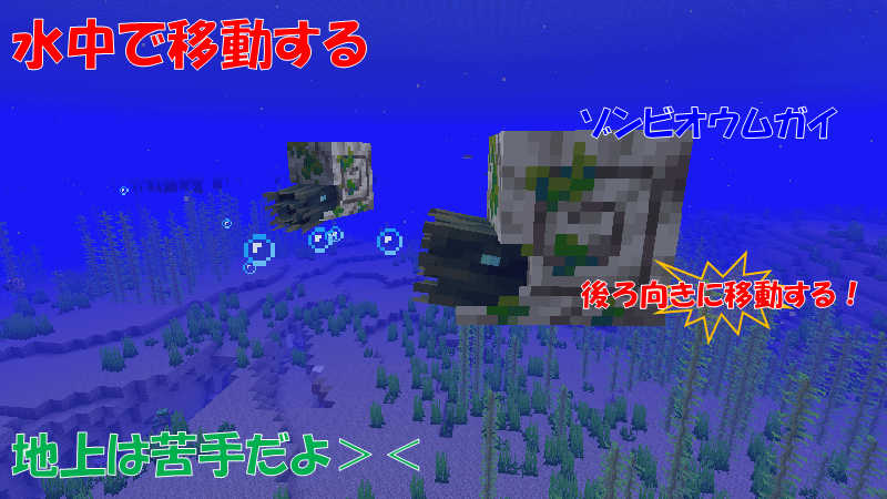 ゾンビオウムガイは水中移動する