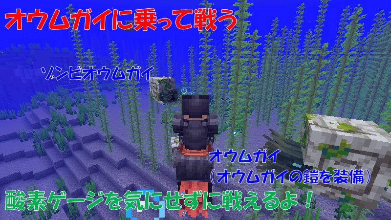 オウムガイに乗ってゾンビオウムガイと戦う