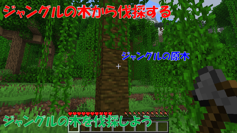 ジャングルの木から伐採する