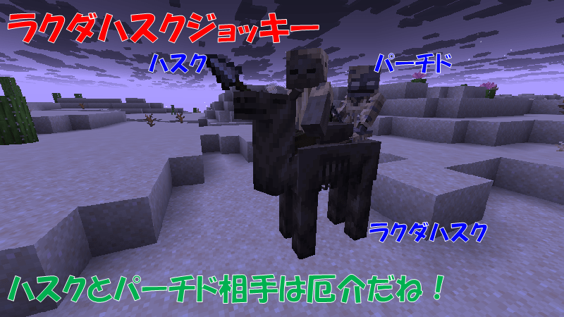 ラクダハスクジョッキー