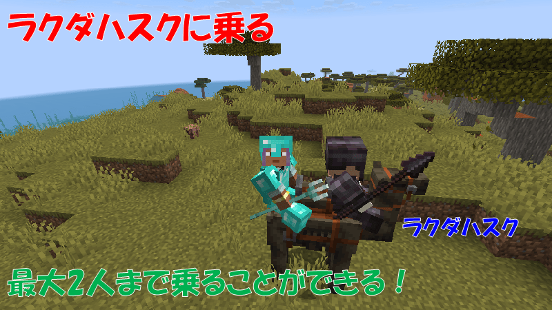 ラクダハスクに乗る