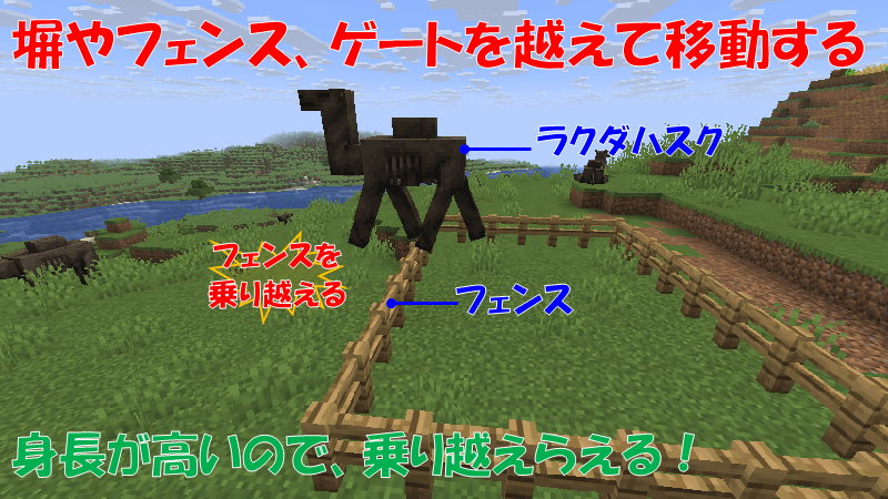 ラクダハスクはフェンスを乗り越える