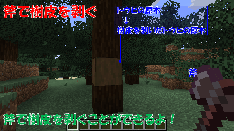 トウヒの原木